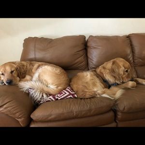 Meet your Posher, Miriam